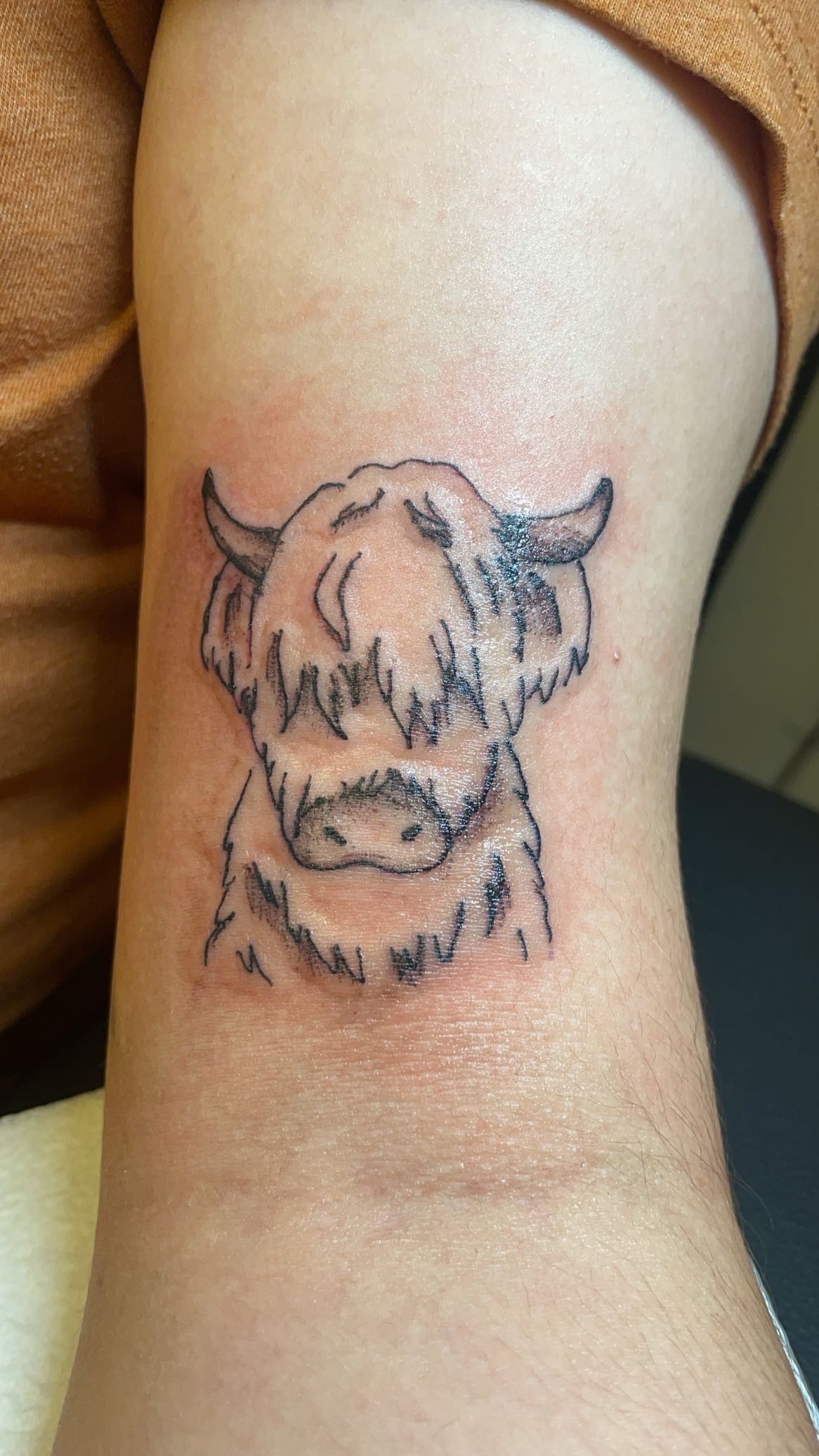 Bull Tattoo